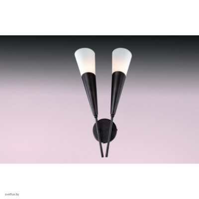 Светильник Odeon Light 2464/2W