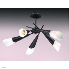 Светильник Odeon Light 2464/5C
