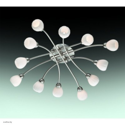 Светильник Odeon Light 2469/12C