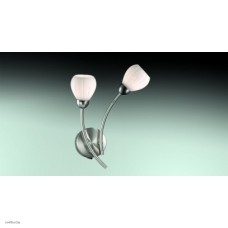 Светильник Odeon Light 2469/2W