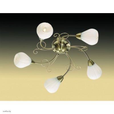 Светильник Odeon Light 2470/5C