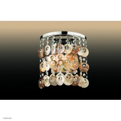 Светильник Odeon Light 2488/2W