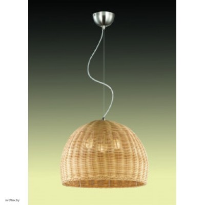 Светильник Odeon Light 2490/3