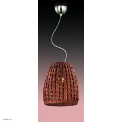 Светильник Odeon Light 2491/1