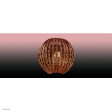 Светильник Odeon Light 2491/1W Светильник Odeon Light 2491/1W