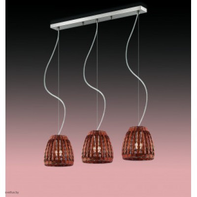 Светильник Odeon Light 2491/3