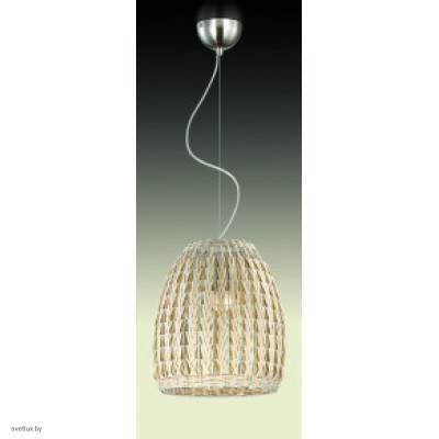 Светильник Odeon Light 2492/1