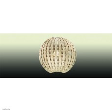 Светильник Odeon Light 2492/1W