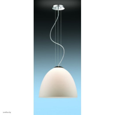 Светильник Odeon Light 2505/1