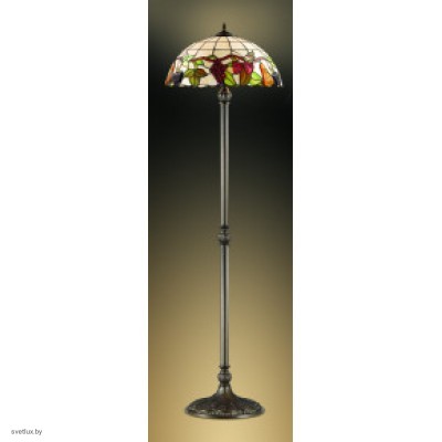 Светильник Odeon Light 2525/2F