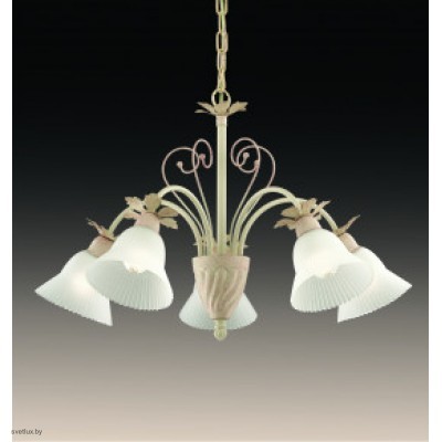 Светильник Odeon Light 2539/5