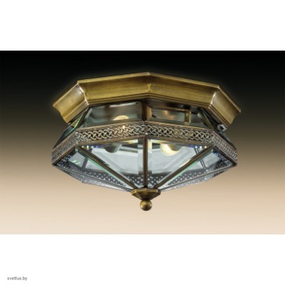 Светильник Odeon Light 2545/2