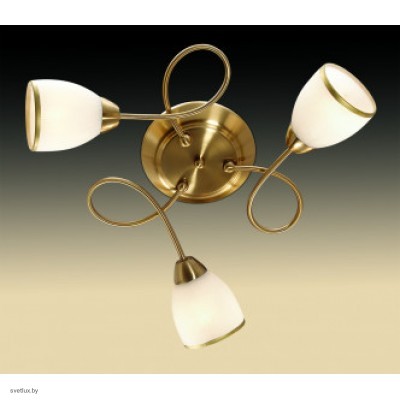 Светильник Odeon Light 2561/3C