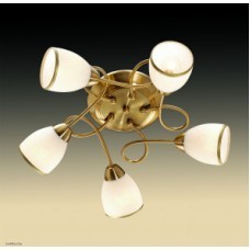 Светильник Odeon Light 2561/5C