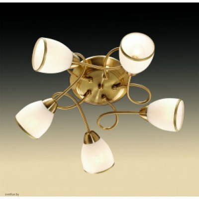 Светильник Odeon Light 2561/5C