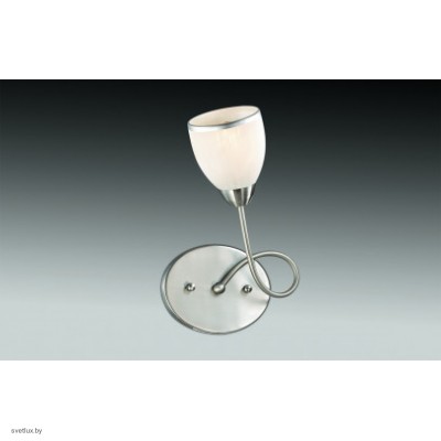 Светильник Odeon Light 2562/1W