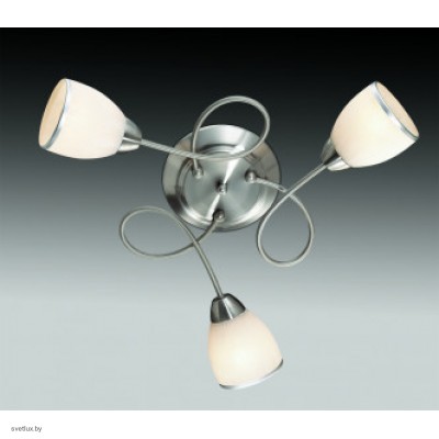 Светильник Odeon Light 2562/3C