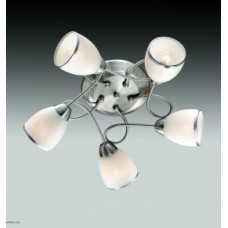 Светильник Odeon Light 2562/5C