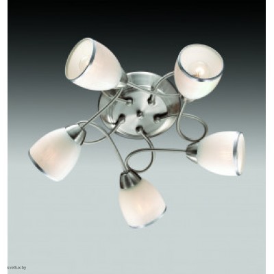 Светильник Odeon Light 2562/5C