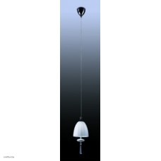 Светильник Odeon Light 2570/1
