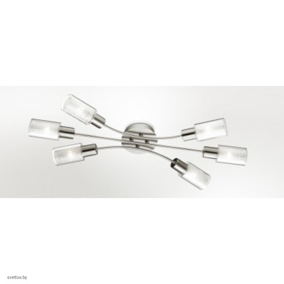 Светильник Odeon Light 2613/6C