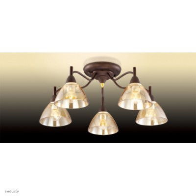 Светильник Odeon Light 2625/5C