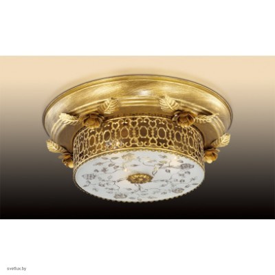 Светильник Odeon Light 2642/3C