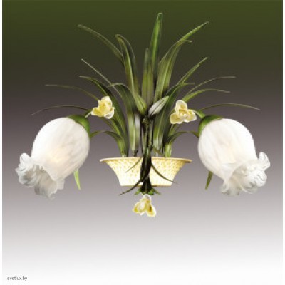 Светильник Odeon Light 2652/2W