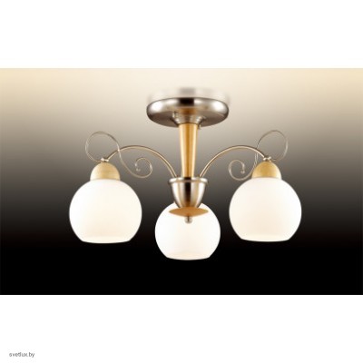 Светильник Odeon Light 2658/3C