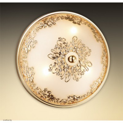 Светильник Odeon Light 2676/3C