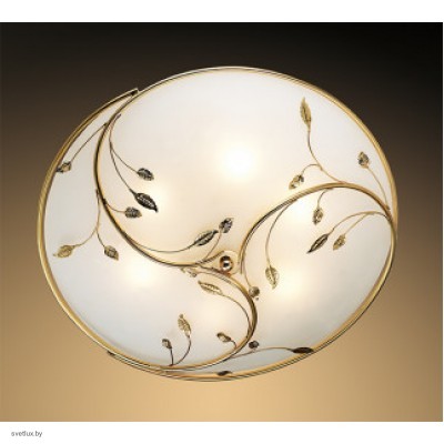 Светильник Odeon Light 2728/6C