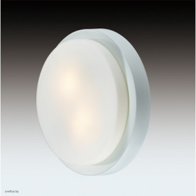 Светильник Odeon Light 2745/2C