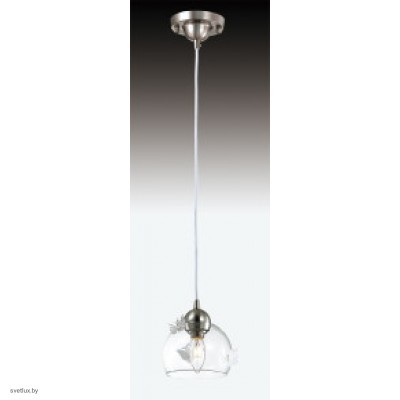 Светильник Odeon Light 2764/1