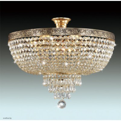 Светильник Odeon Light 2807/6C