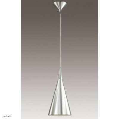 Светильник Odeon Light 2861/1