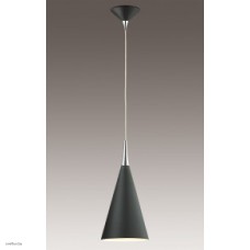 Светильник Odeon Light 2862/1 Светильник Odeon Light 2862/1