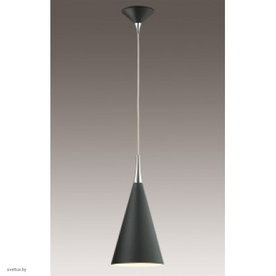 Светильник Odeon Light 2862/1