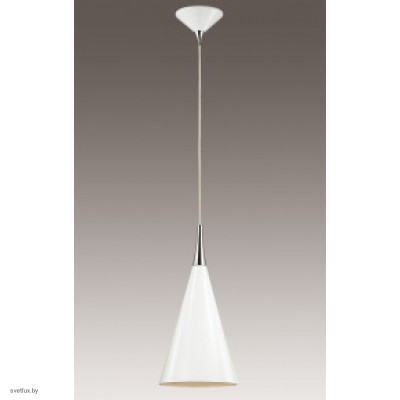 Светильник Odeon Light 2863/1