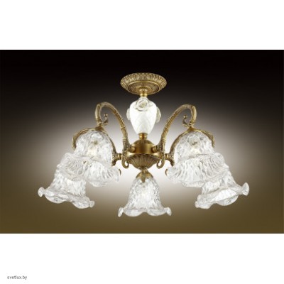 Светильник Odeon Light 2884/5C