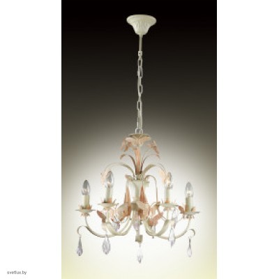 Светильник Odeon Light 2895/5