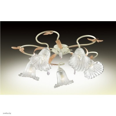 Светильник Odeon Light 2895/5C