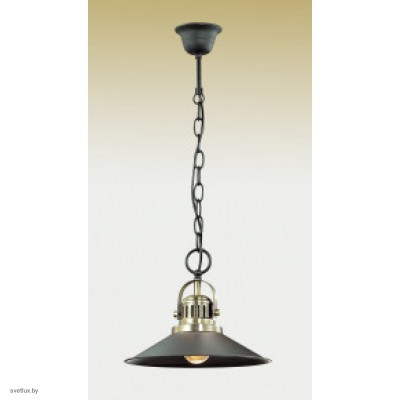 Светильник Odeon Light 2898/1