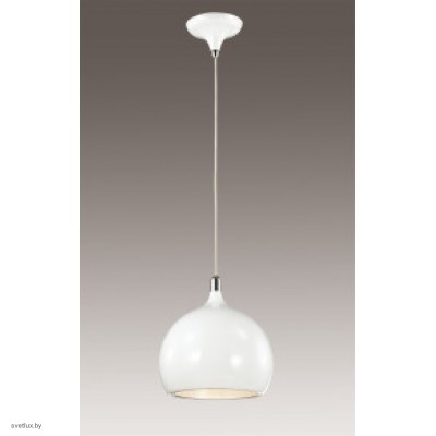 Светильник Odeon Light 2903/1