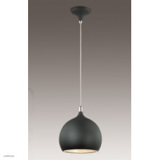 Светильник Odeon Light 2904/1