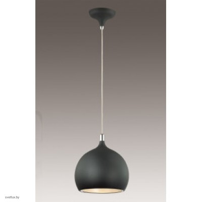 Светильник Odeon Light 2904/1