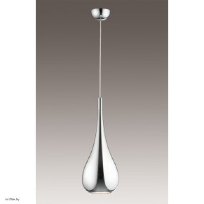 Светильник Odeon Light 2905/1