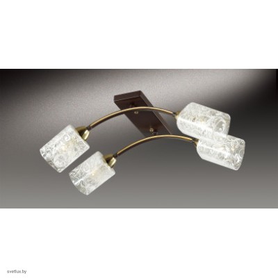 Светильник Odeon Light 2941/4C