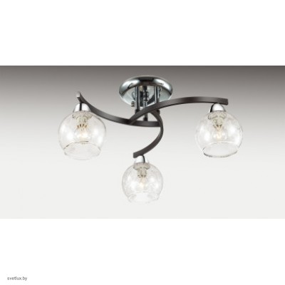 Светильник Odeon Light 2943/3C