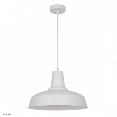 Светильник Odeon Light BITS 3362/1