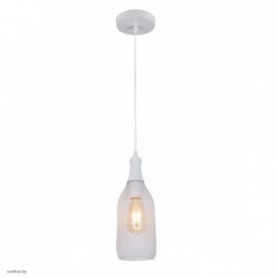 Светильник Odeon Light BOTTLE 3354/1
